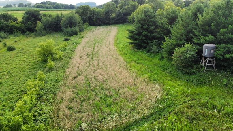 dji_fly_20240715_182654_700_1721086069166_photo_optimized