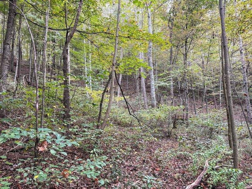 Greenup 77.28 Holsinger-41