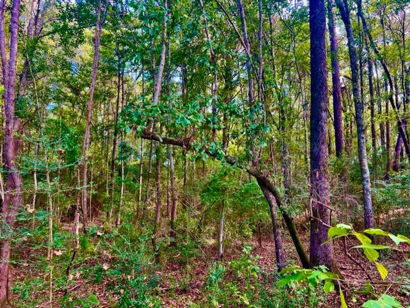 B78272AB-2E3C-4530-9CB4-6C154091C1B7_1_105_c