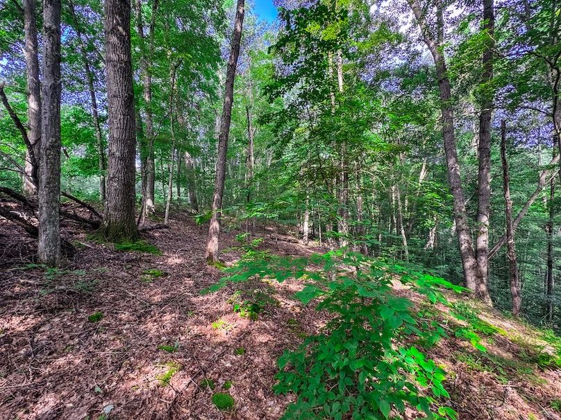 Lewis, WV 105 AC Miller-61