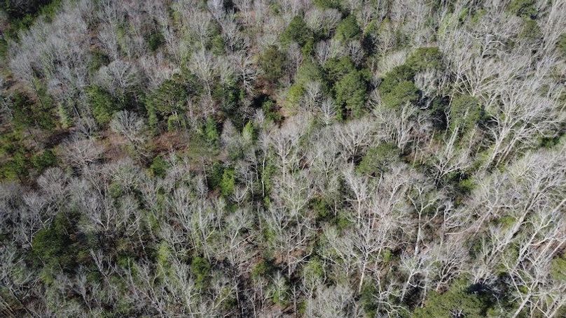 DJI_0130