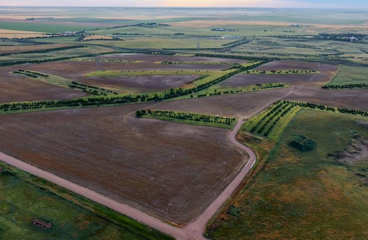 DJI_20250712062722_0237_D-HDR-2