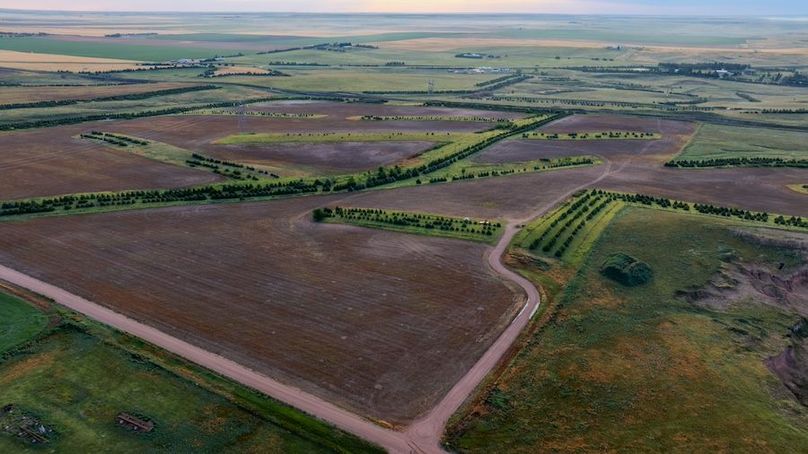 DJI_20250712062722_0237_D-HDR-2