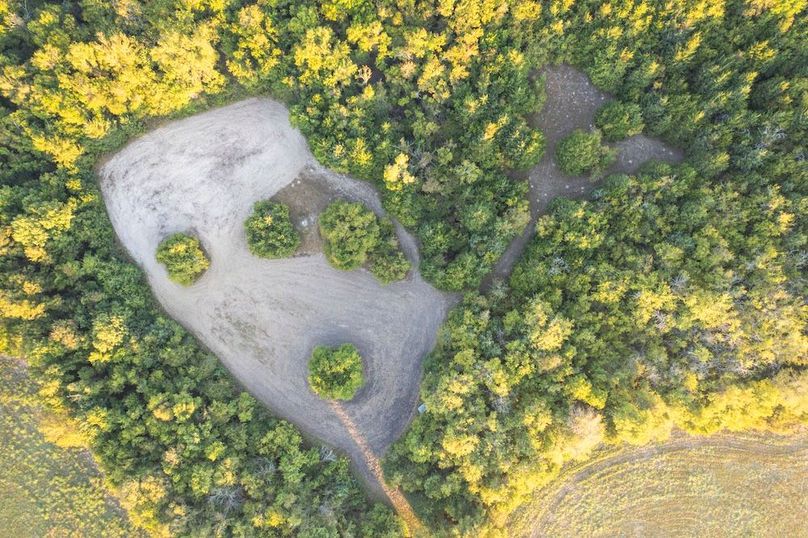 Lamar County- 93 acre reshoot (9 of 38)