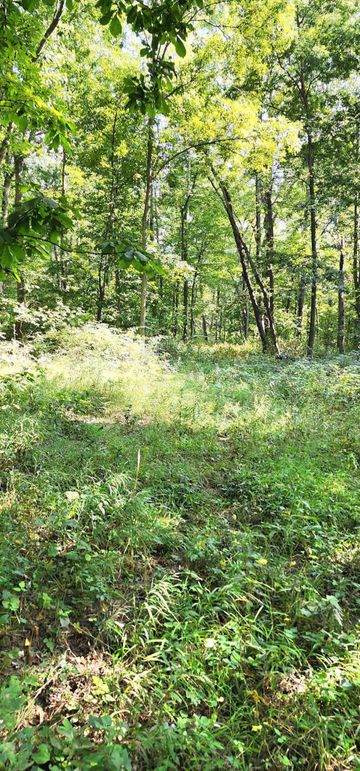 382331932_618161470477778_3164129016306415749_n