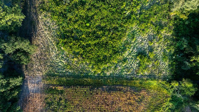 DJI_20250909050225_0009_D