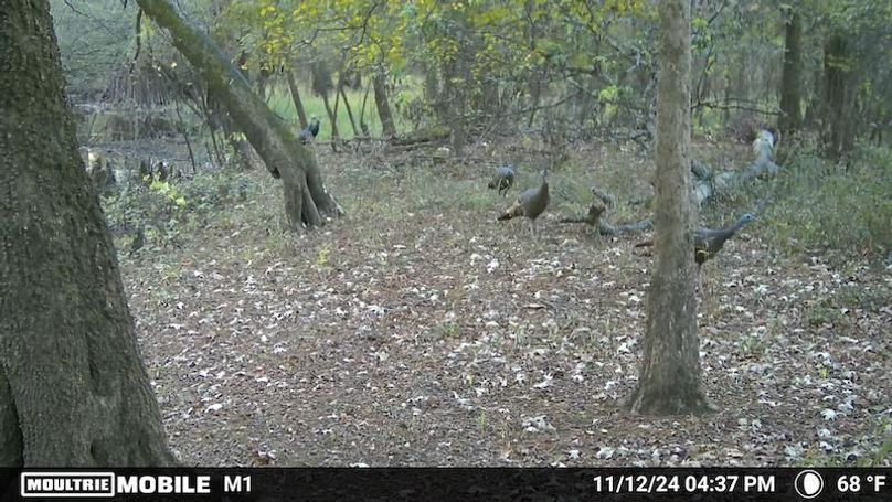 1688612-20241112223824-100MFCAM_MFDC0095