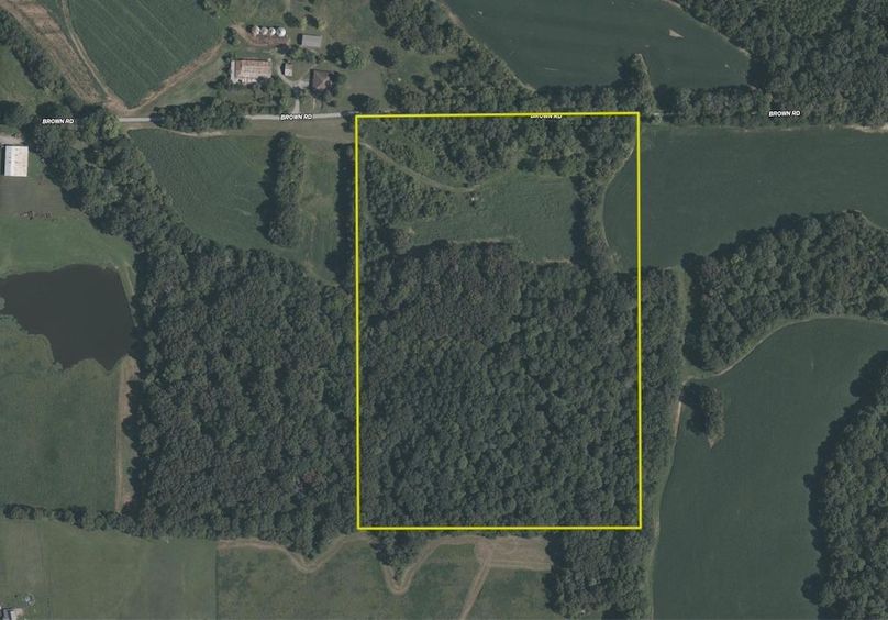 johnson IL 1300.aerial.tract 7 Large