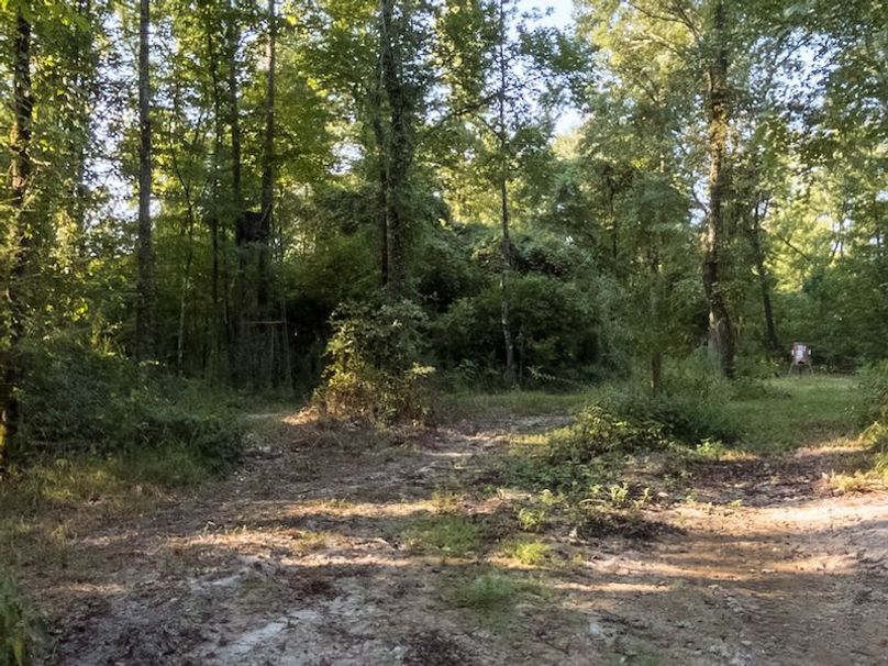 Ashley Co-40-Givens-44