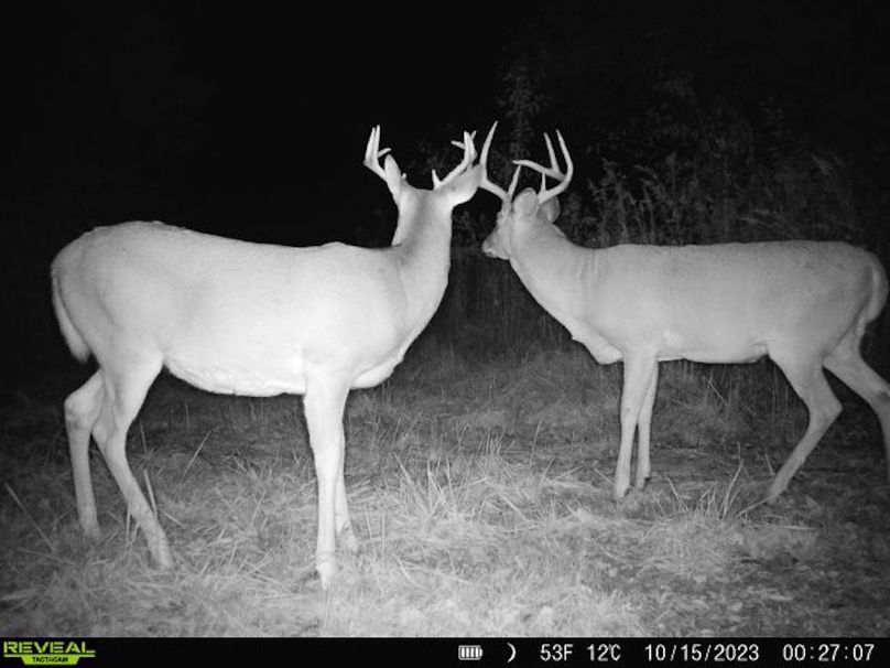 860322065128164-10-4-10152023002706-V-W1003670