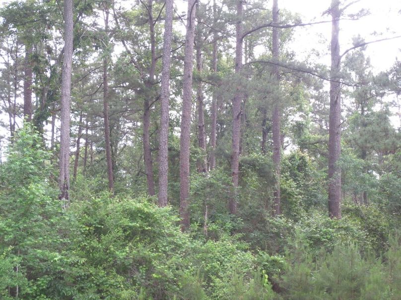 C85CC771-860E-4AF7-85F3-08C54DF6D20E_1_105_c