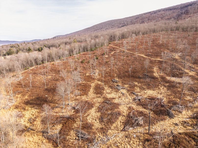 DJI_20260122134126_0047_D