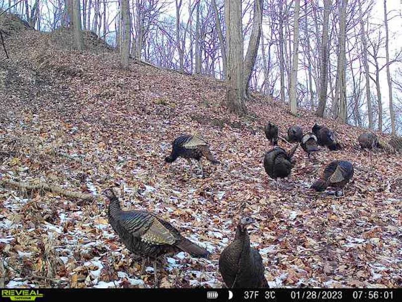 b2ad689a-e736-4a9e-a663-705aa69b0cff