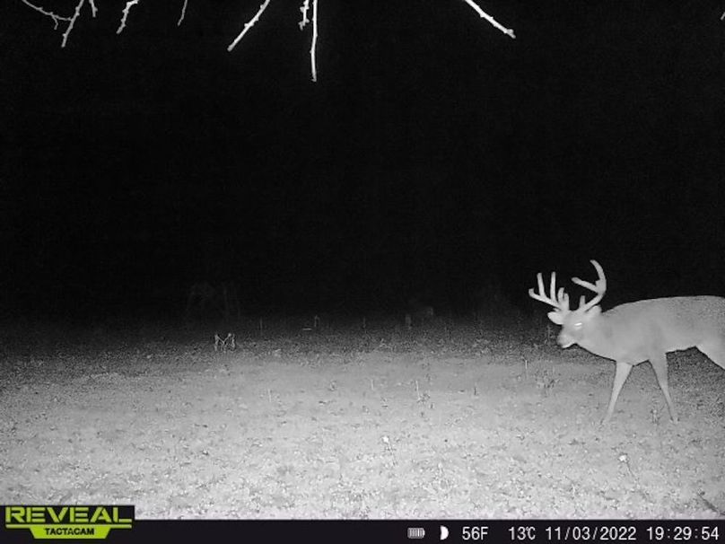 Copy of deer photos.141