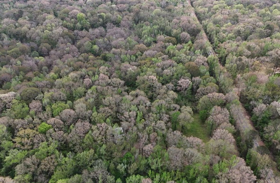 DJI_20260402004509_0209_D