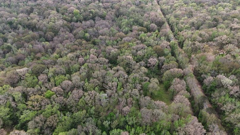 DJI_20260402004509_0209_D