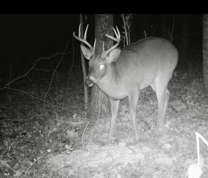 Screenshot_20201219-125213_Gallery