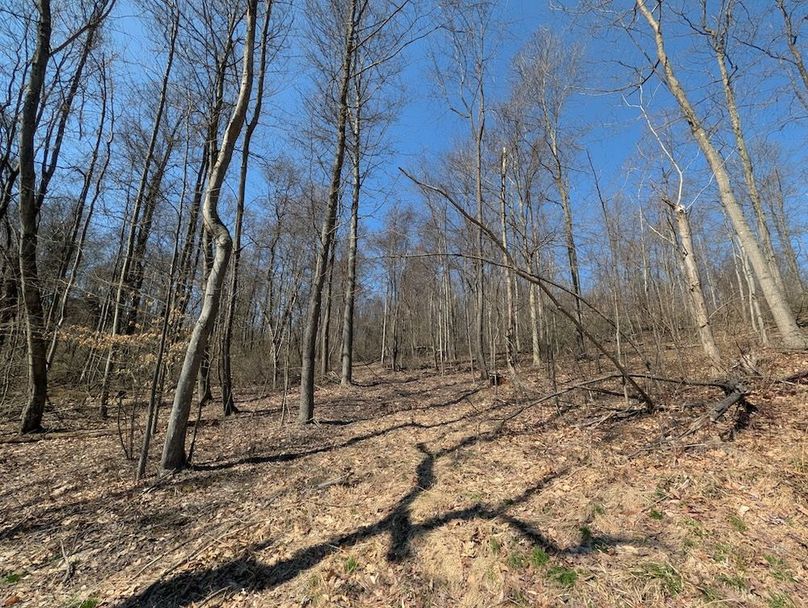 PXL_20260326_170007484