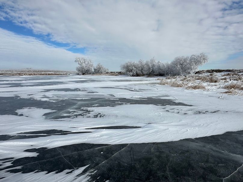 CC826D59-7957-44E2-B8BF-B6EE2E07AA5D_1_105_c