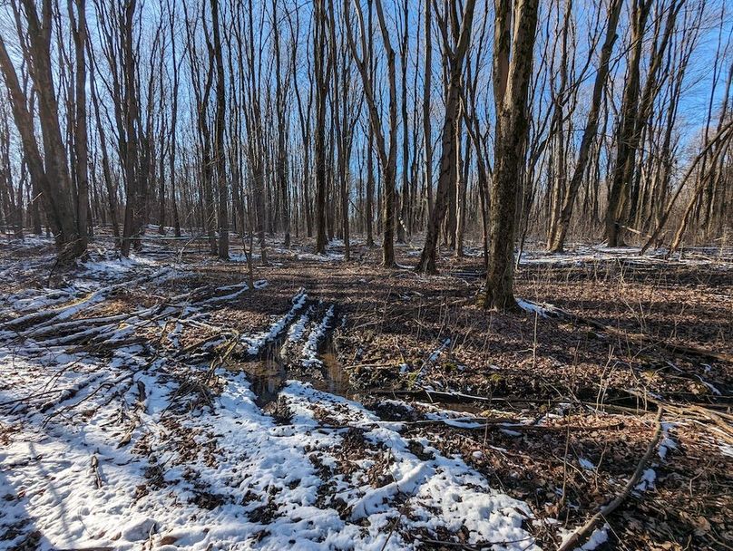 PXL_20240229_211547666