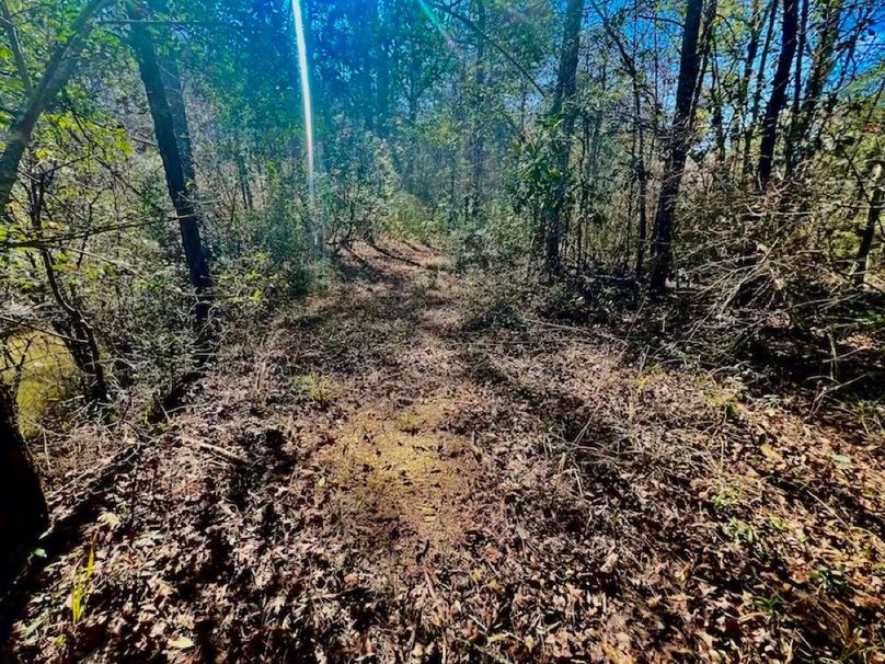 34B7E4BD-DA26-46B1-AA1E-7D6A8FD27484_1_201_a