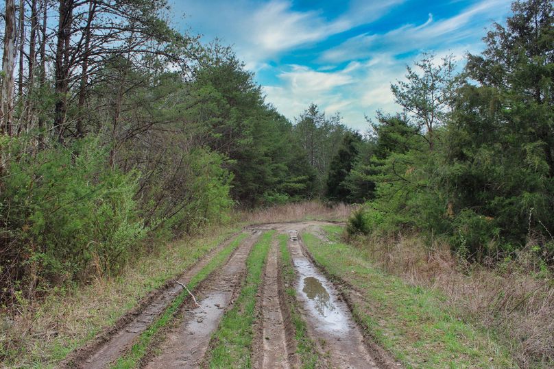 009 the secondary access road leading around the north boundary