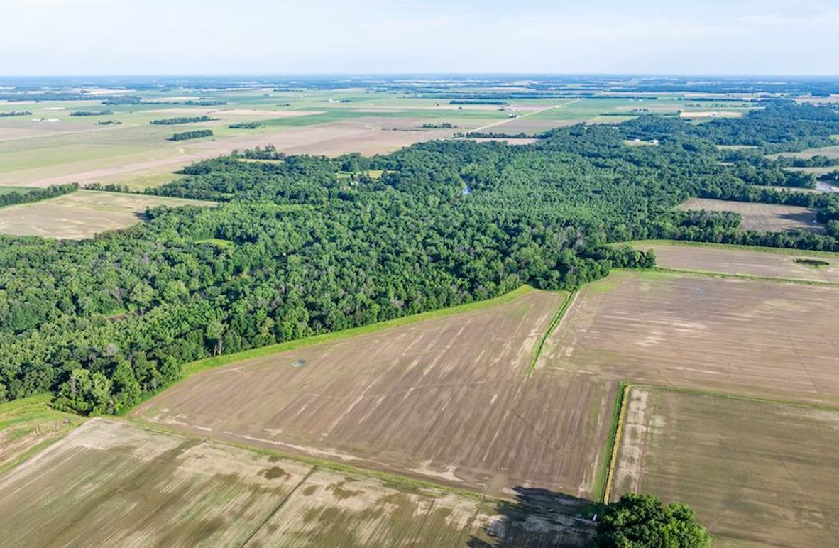 DJI_20250620054035_0001_D