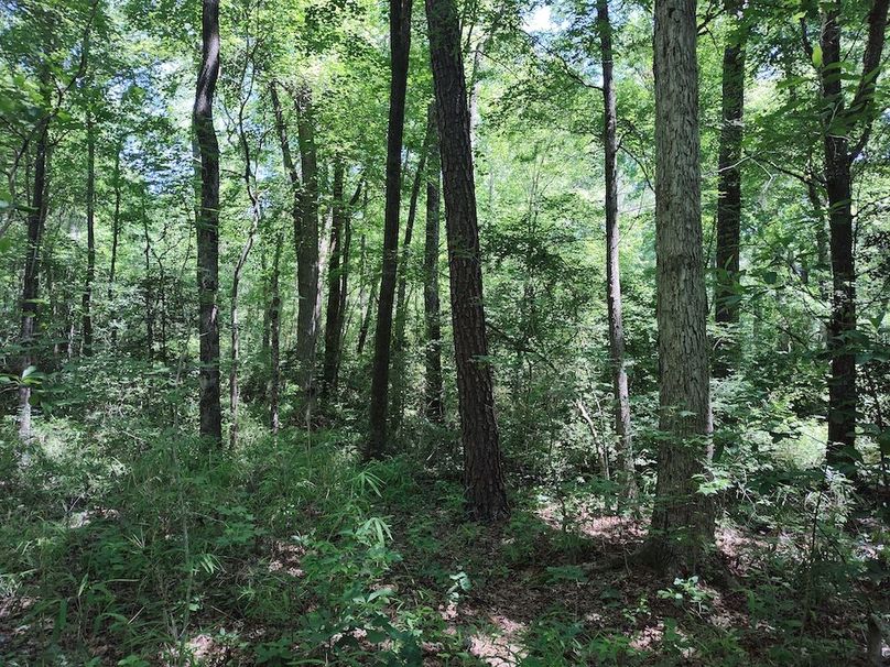 IMG_20250524_122449248