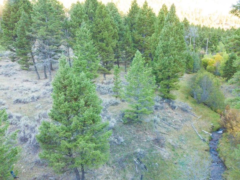 20240925-DJI_0126