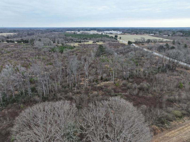 Copy of dji_fly_20251224_112606_0181_1767705808505_photo