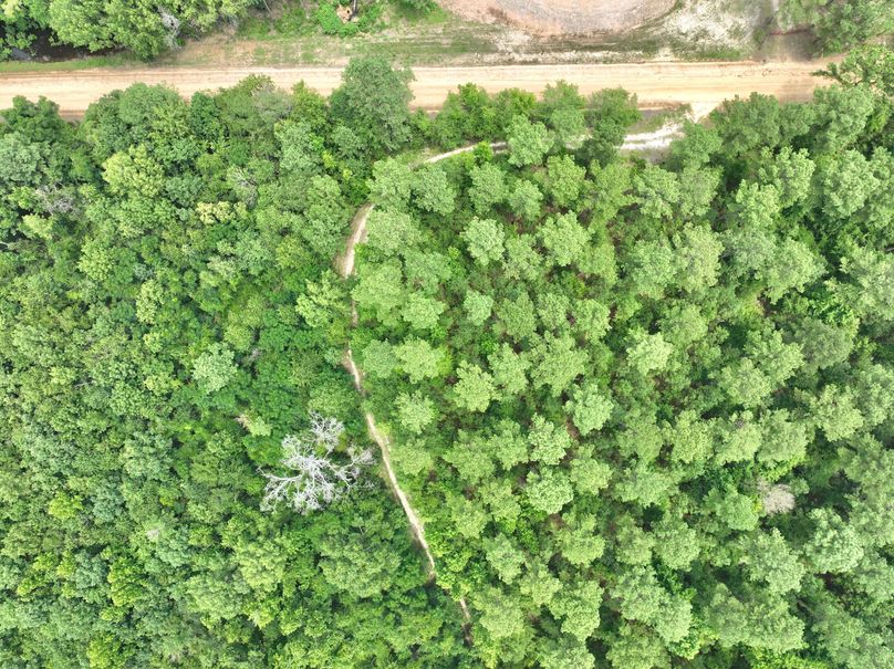 dji_fly_20230703_134226_350_1688406256227_photo