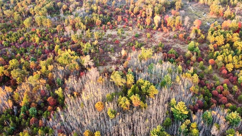 dji_fly_20241011_174828_443_1728687463442_photo_optimized 2