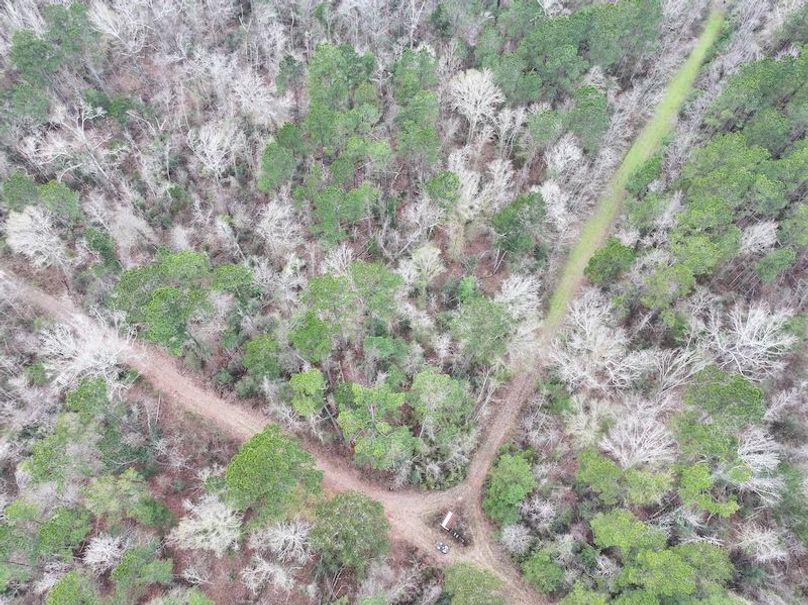 dji_fly_20260123_131708_0939_1769444774385_photo