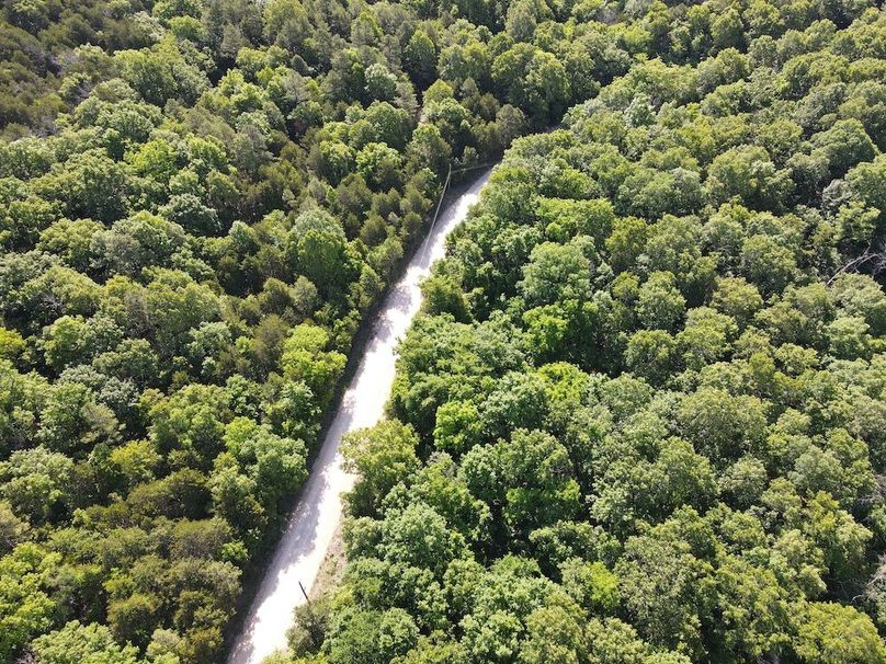 dji_fly_20260514_092946_784_1778769093825_photo