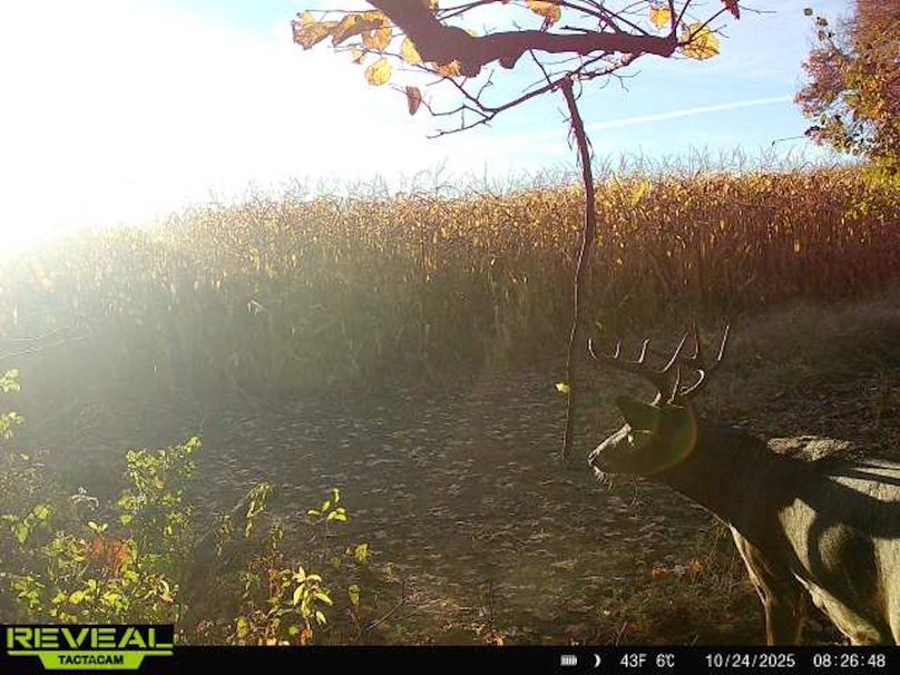 865814043293958-100-3-10242025082648-W1002415