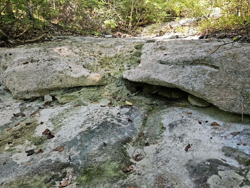 DJI_20240808_104436_149