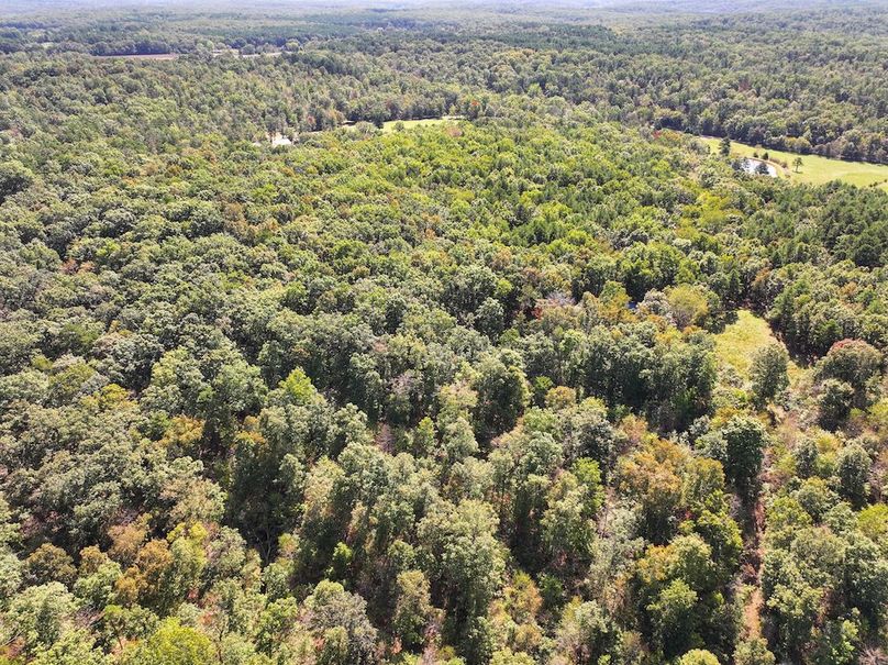 DJI_20240925113041_0223_D