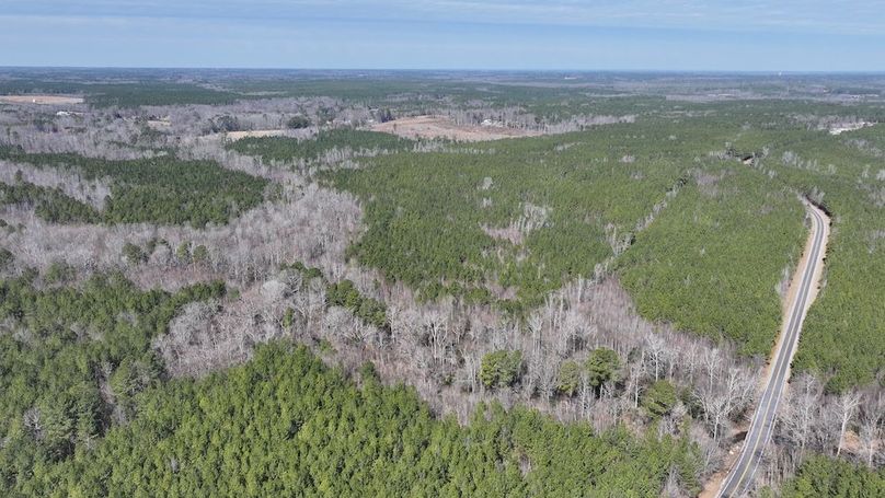 DJI_20250224104600_0558_D