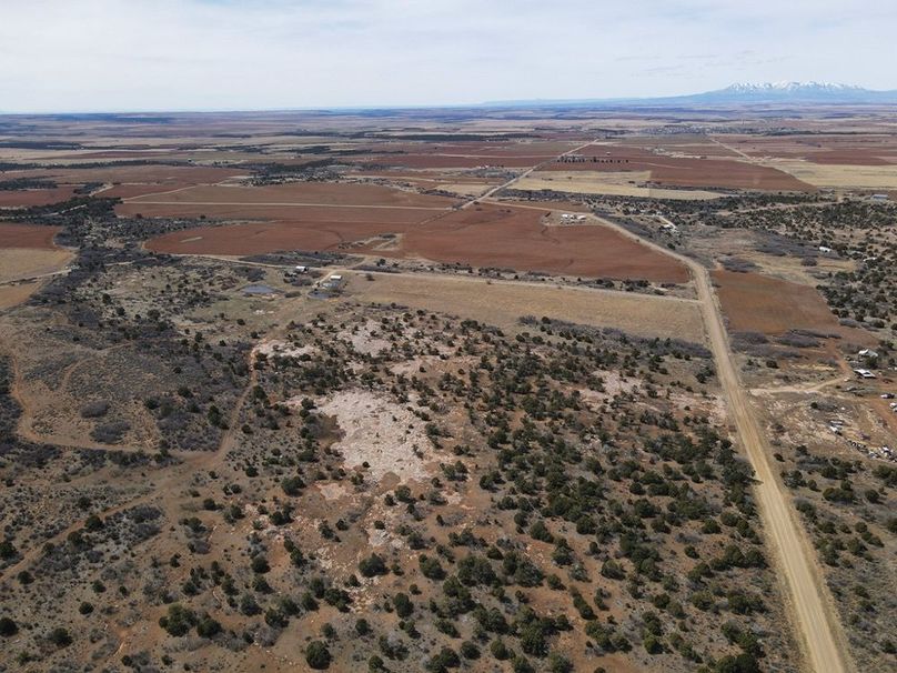 DJI_0867