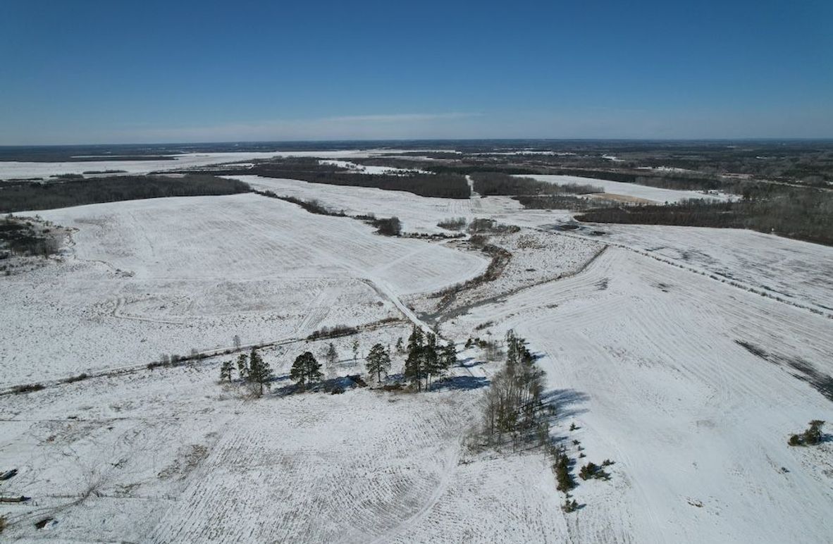 dji_fly_20260311_115042_96_1773248447044_photo (1)