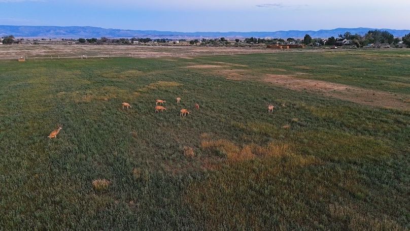 DJI_20240810062034_0020_D