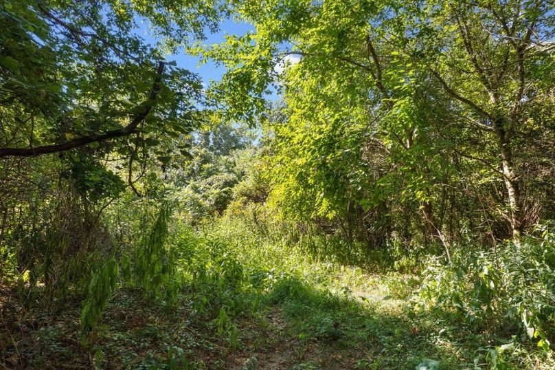 24-web-or-mls-DJI_0290