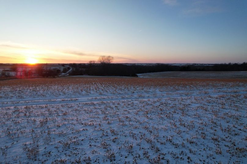 DJI_0544