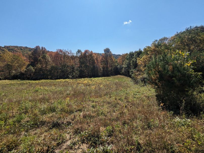 PXL_20231004_165550070