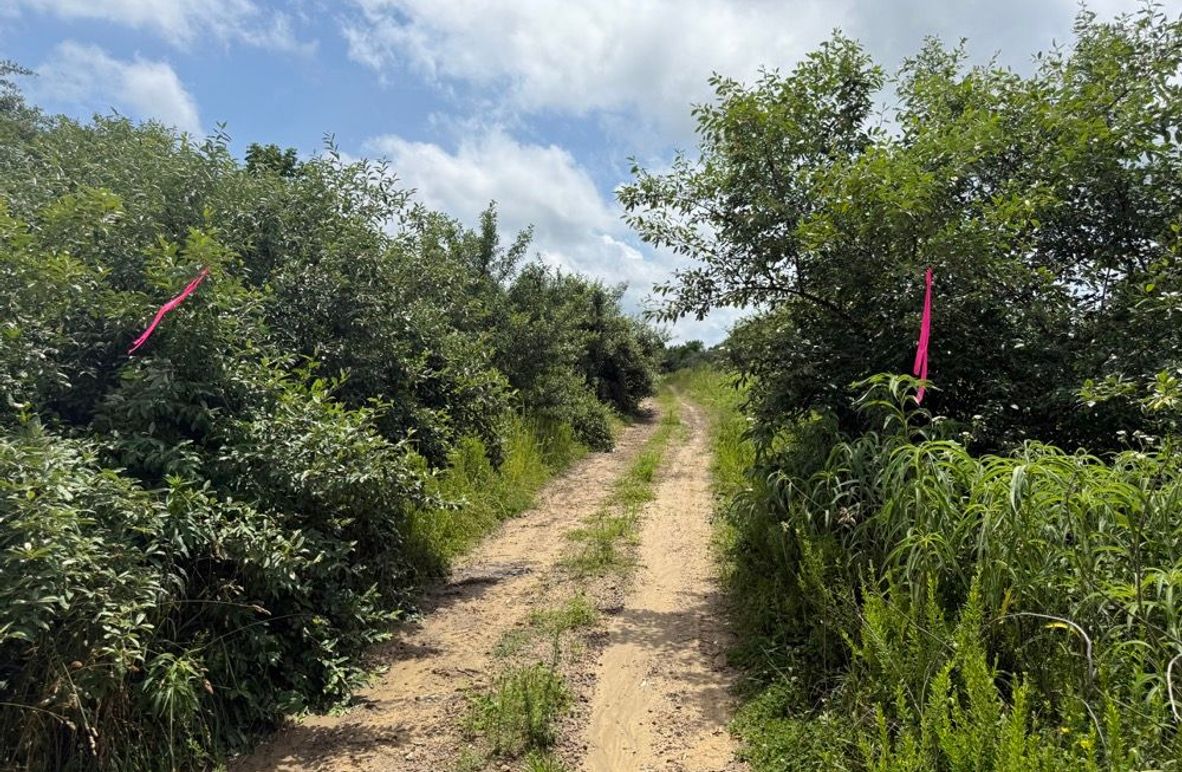 004 the northeast boundary coming in along the old mine road