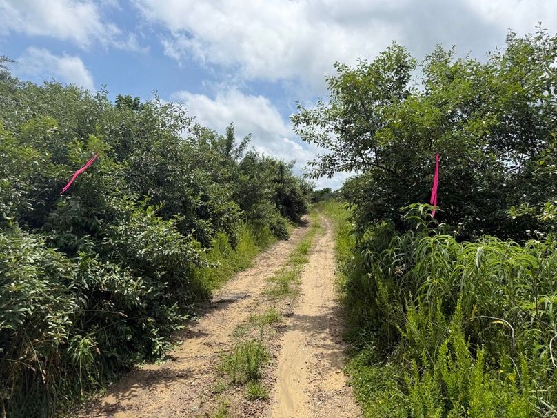 004 the northeast boundary coming in along the old mine road