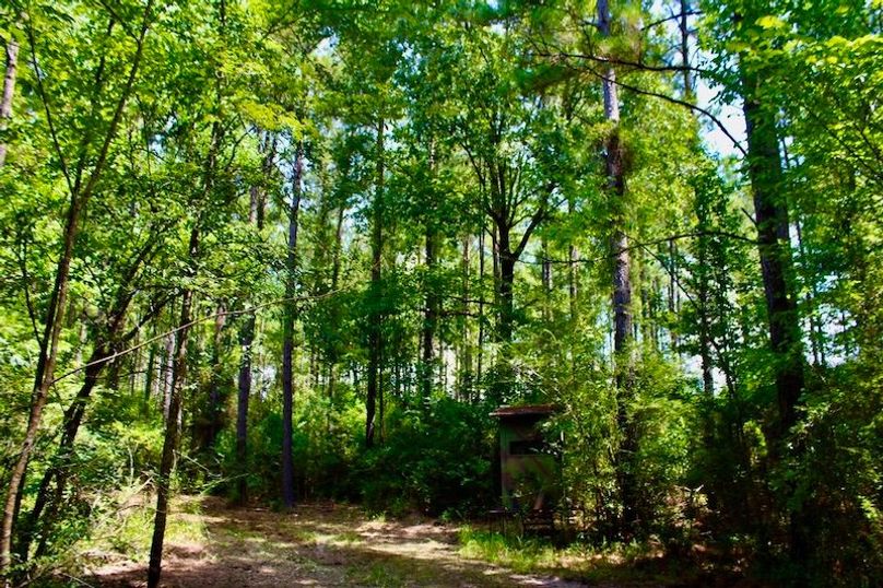 E518BC9C-37A6-4824-8FF2-AA1446C67705_1_105_c