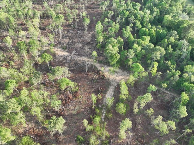 dji_fly_20260407_083546_361_1775580315070_photo