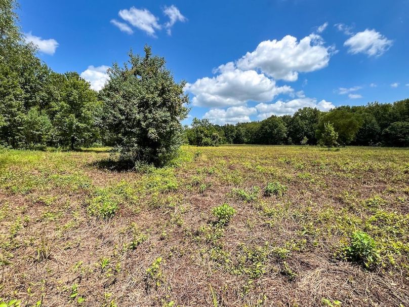 37 Leon Co. 117ac-34