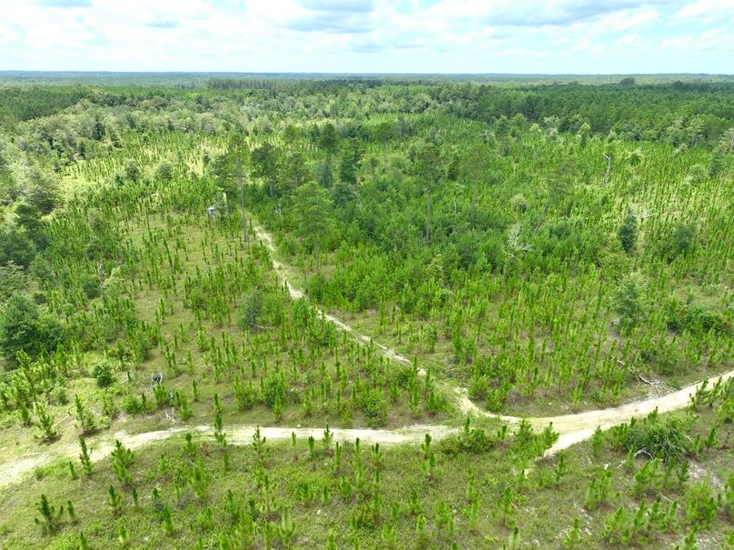 dji_fly_20240710_135632_558_1720634567139_photo